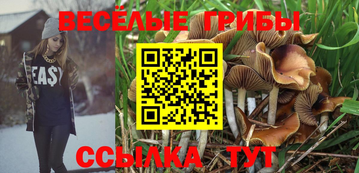 Галлюциногенные грибы MAGIC MUSHROOMS  Вход с VPN  Балашиха 